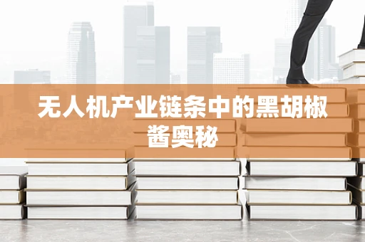 无人机产业链条中的黑胡椒酱奥秘