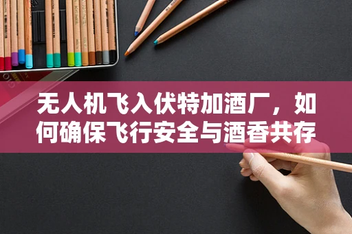 无人机飞入伏特加酒厂，如何确保飞行安全与酒香共存？