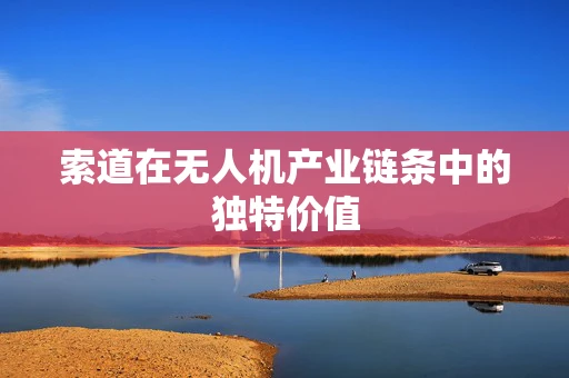 索道在无人机产业链条中的独特价值