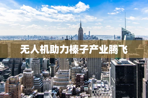无人机助力榛子产业腾飞