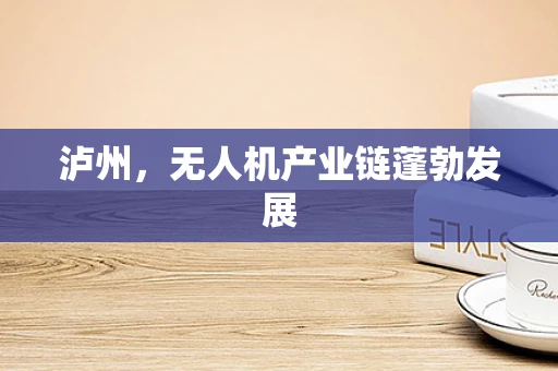 泸州，无人机产业链蓬勃发展
