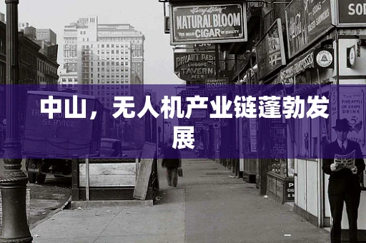 中山，无人机产业链蓬勃发展