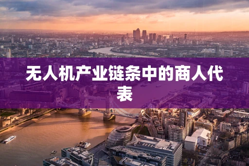 无人机产业链条中的商人代表