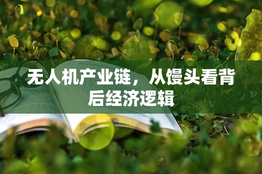 无人机产业链，从馒头看背后经济逻辑
