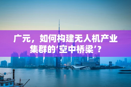 广元，如何构建无人机产业集群的‘空中桥梁’？