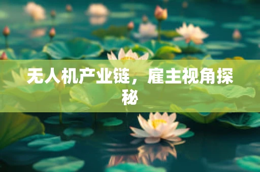 无人机产业链，雇主视角探秘