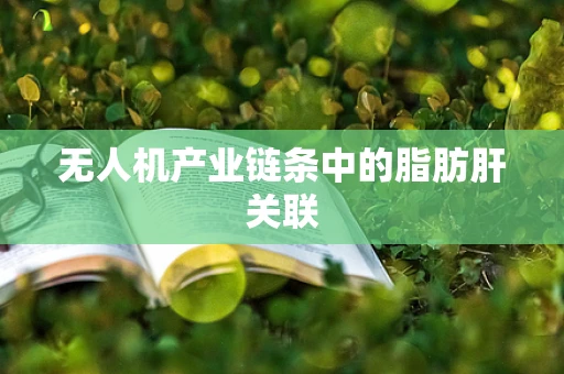 无人机产业链条中的脂肪肝关联