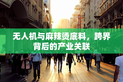 无人机与麻辣烫底料，跨界背后的产业关联