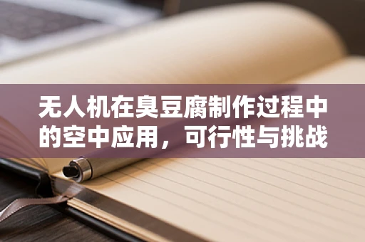 无人机在臭豆腐制作过程中的空中应用，可行性与挑战？