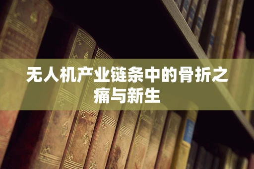 无人机产业链条中的骨折之痛与新生