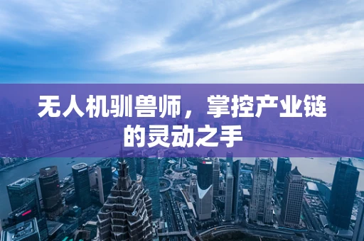 无人机驯兽师，掌控产业链的灵动之手
