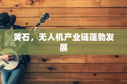 黄石，无人机产业链蓬勃发展