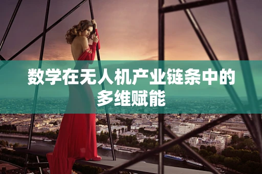 数学在无人机产业链条中的多维赋能