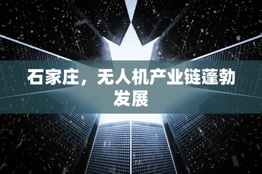石家庄，无人机产业链蓬勃发展