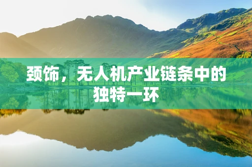 颈饰，无人机产业链条中的独特一环