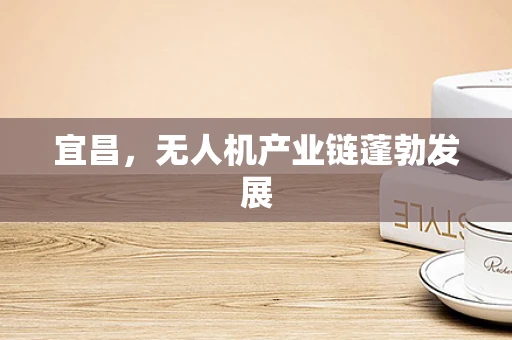 宜昌，无人机产业链蓬勃发展