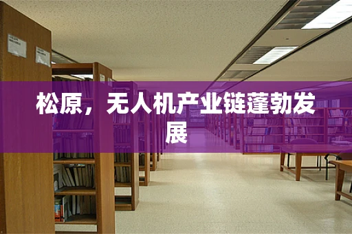 松原，无人机产业链蓬勃发展