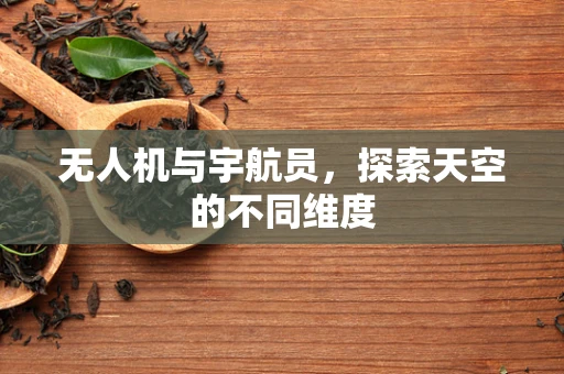 无人机与宇航员，探索天空的不同维度