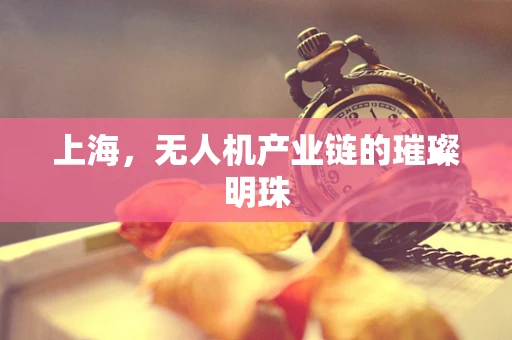上海，无人机产业链的璀璨明珠