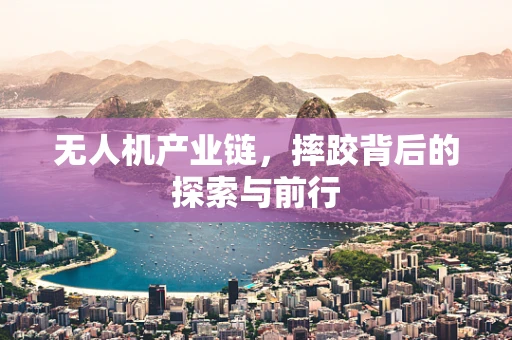 无人机产业链，摔跤背后的探索与前行