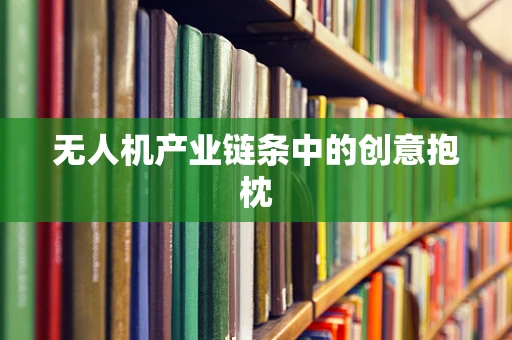 无人机产业链条中的创意抱枕