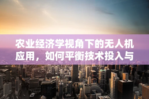 农业经济学视角下的无人机应用，如何平衡技术投入与农业收益？