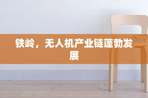 铁岭，无人机产业链蓬勃发展