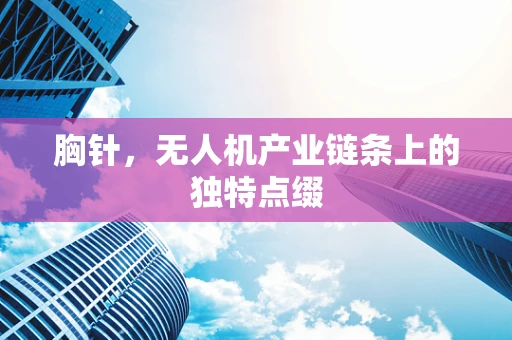 胸针，无人机产业链条上的独特点缀