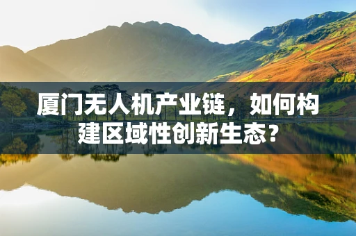 厦门无人机产业链，如何构建区域性创新生态？