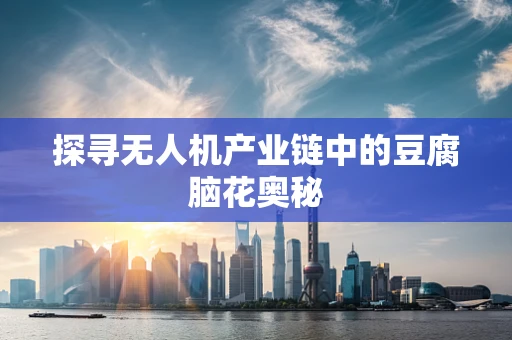 探寻无人机产业链中的豆腐脑花奥秘