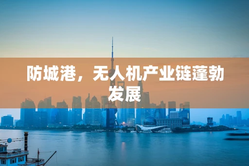 防城港，无人机产业链蓬勃发展