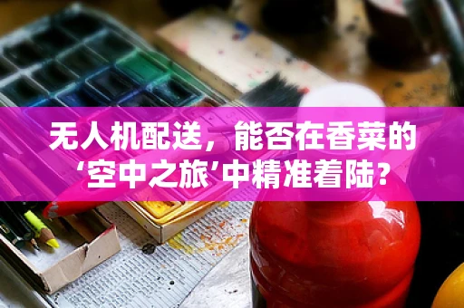 无人机配送，能否在香菜的‘空中之旅’中精准着陆？