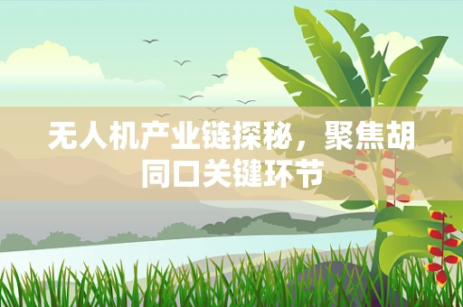 无人机产业链探秘，聚焦胡同口关键环节