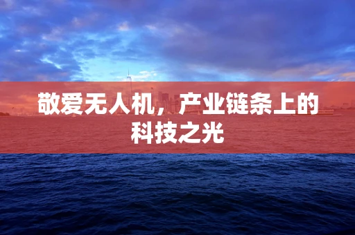 敬爱无人机，产业链条上的科技之光