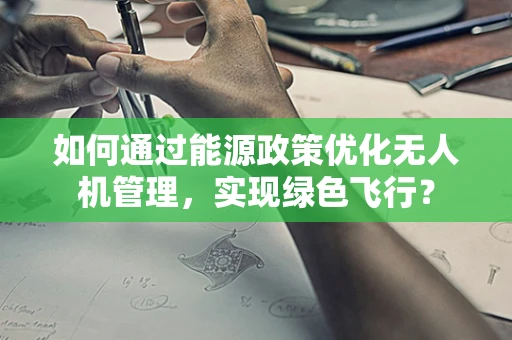 如何通过能源政策优化无人机管理，实现绿色飞行？