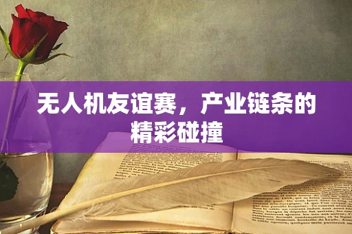 无人机友谊赛，产业链条的精彩碰撞