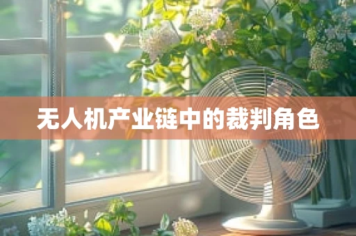 无人机产业链中的裁判角色