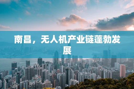南昌，无人机产业链蓬勃发展