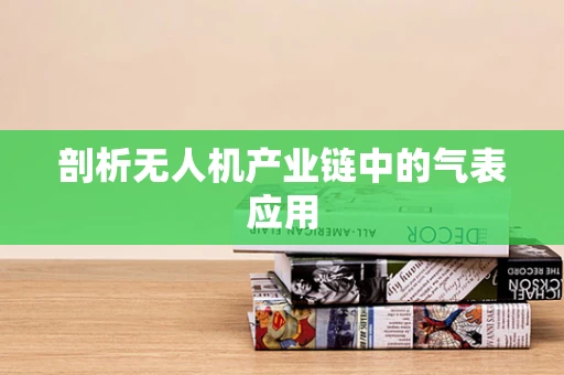 剖析无人机产业链中的气表应用