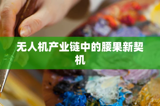 无人机产业链中的腰果新契机
