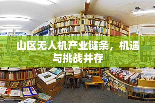 山区无人机产业链条，机遇与挑战并存