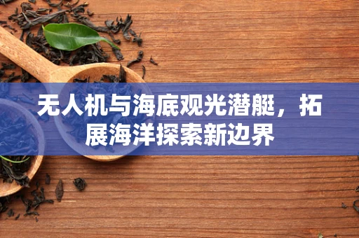 无人机与海底观光潜艇，拓展海洋探索新边界