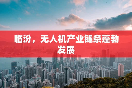 临汾，无人机产业链条蓬勃发展