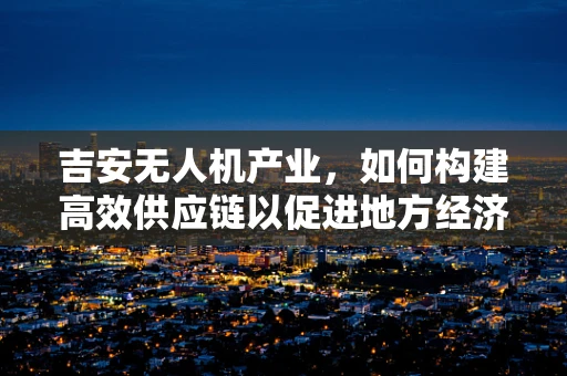 吉安无人机产业，如何构建高效供应链以促进地方经济发展？
