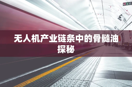 无人机产业链条中的骨髓油探秘