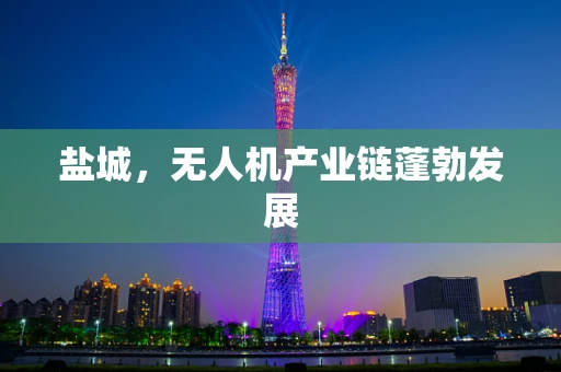 盐城，无人机产业链蓬勃发展