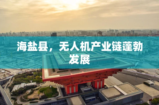 海盐县，无人机产业链蓬勃发展