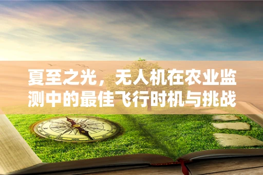 夏至之光，无人机在农业监测中的最佳飞行时机与挑战
