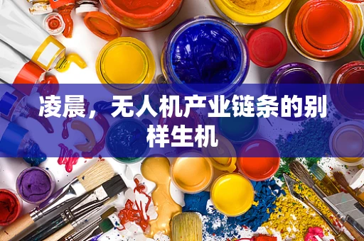 凌晨，无人机产业链条的别样生机
