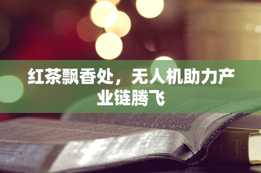 红茶飘香处，无人机助力产业链腾飞